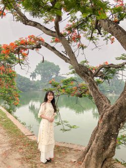 Kim Anh
