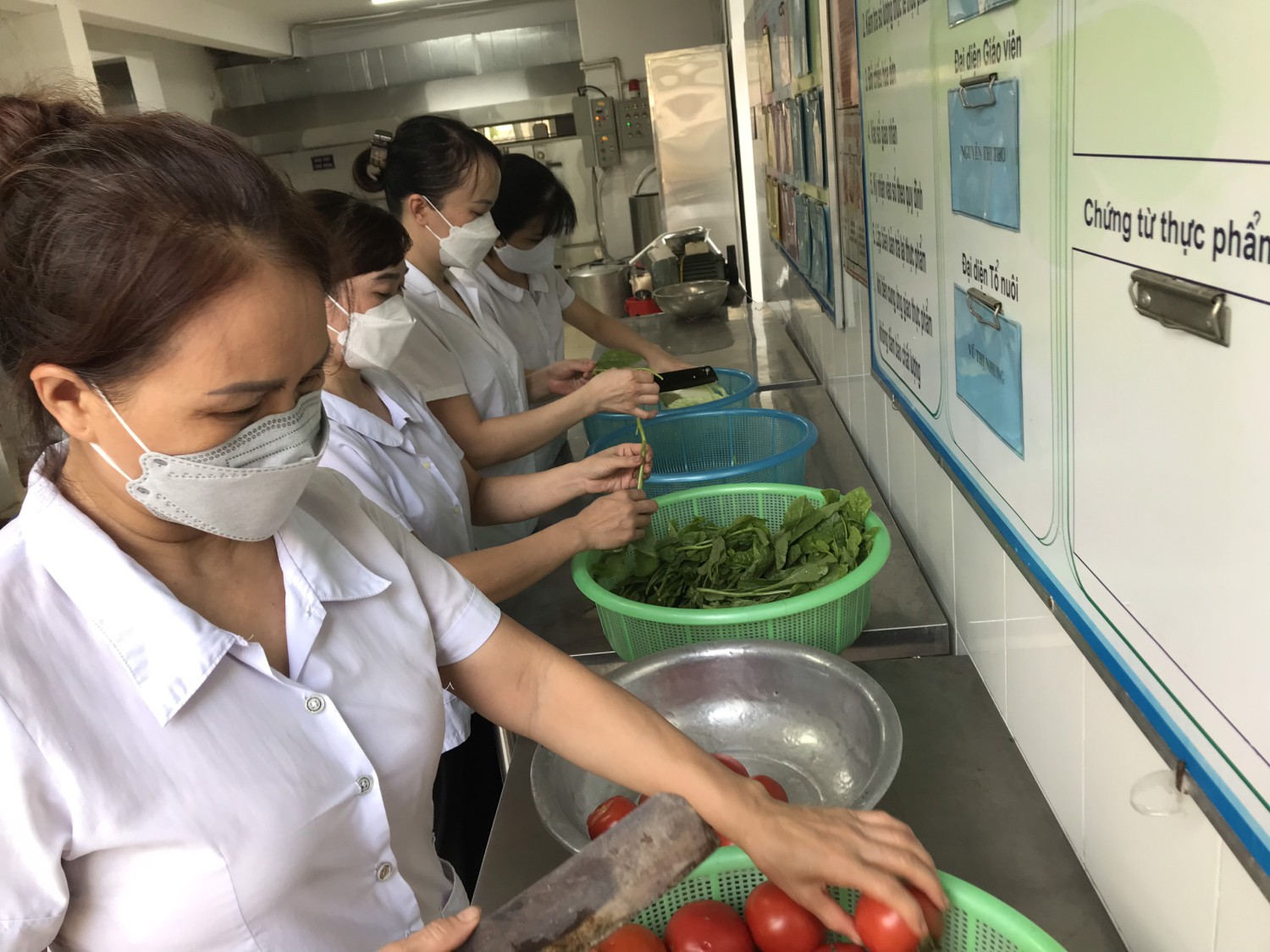 Cô sơ chế